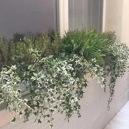 Ortygia Guest house Syracuse
